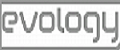 Домофоны Evology