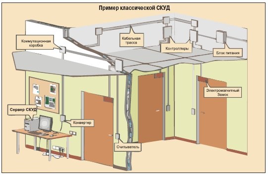 Сетевые системы СКУД Сетевые системы СКУД