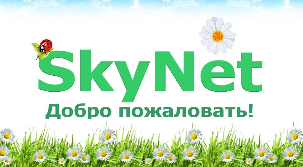 Новые беспроводные видеодомофоны SkyNet завоевывают российский рынок